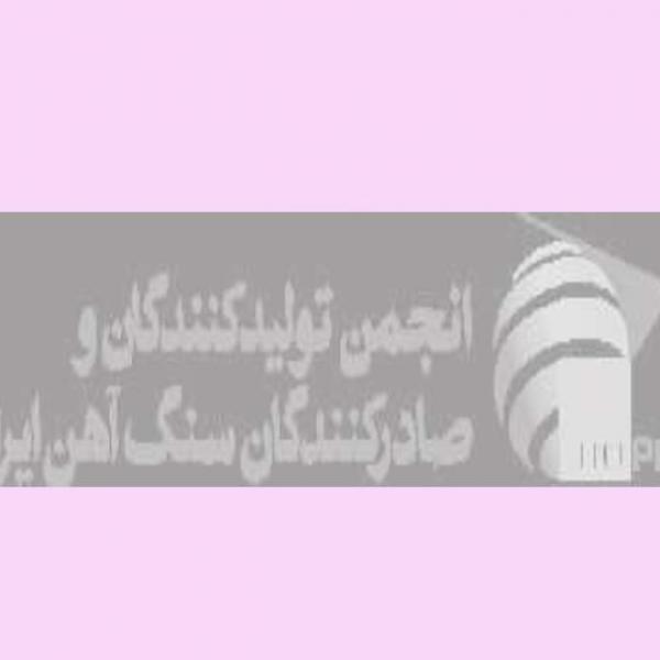 تدوین برنامه‌ی ظرفیت‌سازی انجمن سنگ آهن